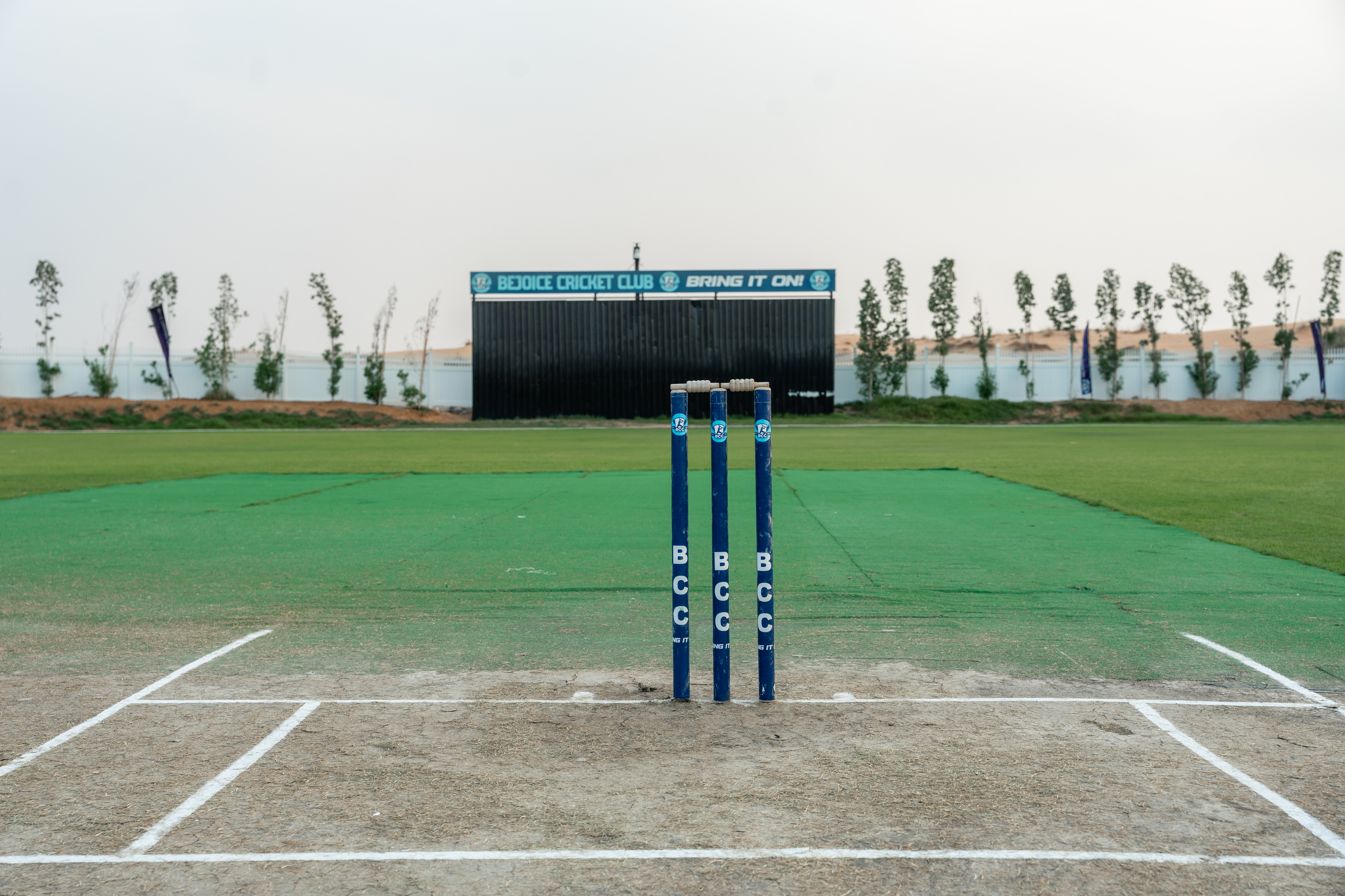 Both Grounds